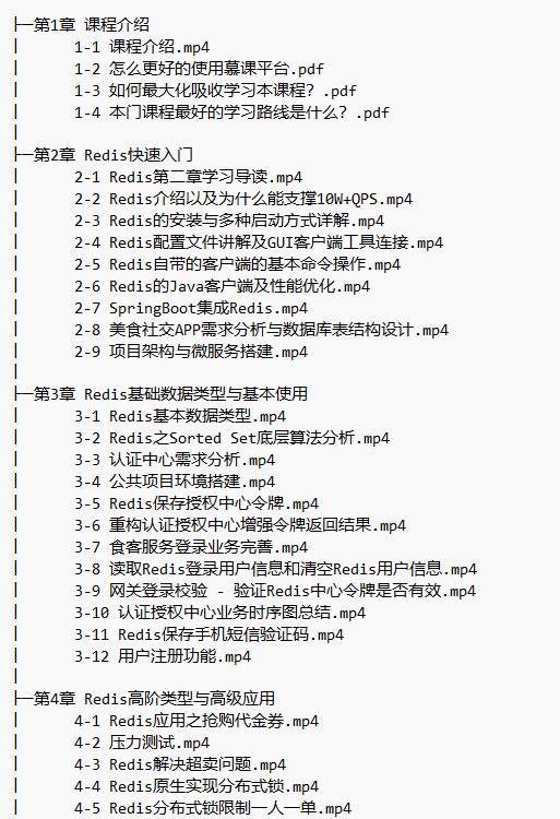 高級Redis進階課 解決Redis實際問題+掌握Redis6.x特性 視頻教程 下載  圖1