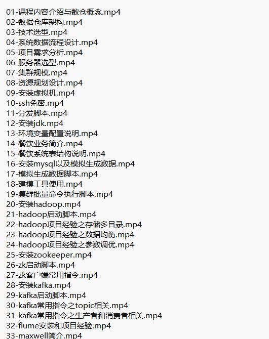 大數(shù)據(jù)項(xiàng)目快餐數(shù)倉(cāng) 視頻教程 下載 圖1